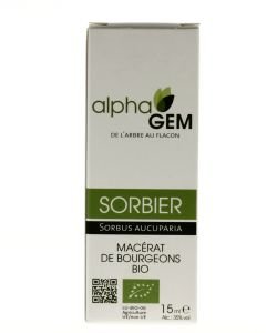Sorbier (Sorbus aucuparia) bourgeon unitaire BIO, 15 ml